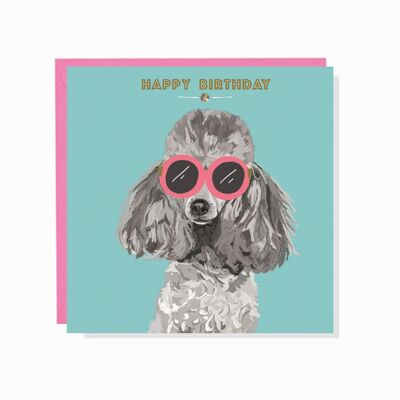 Carte d'anniversaire caniche cool