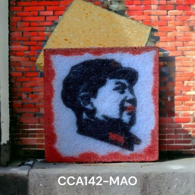HOUSEHOLD SPONGE-CCA142-MAO