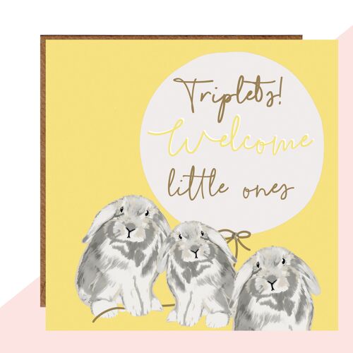 Welcome Triplets Bunny Card