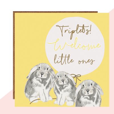 Benvenuto Triplets Bunny Card