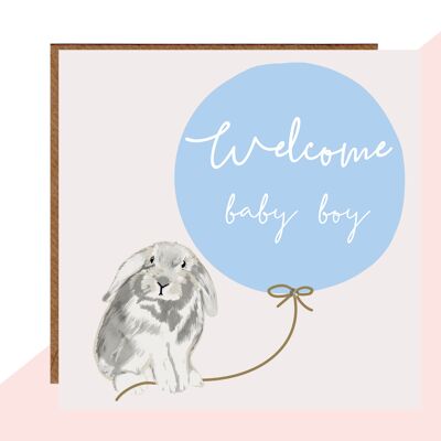 Welcome Baby Boy Bunny Card