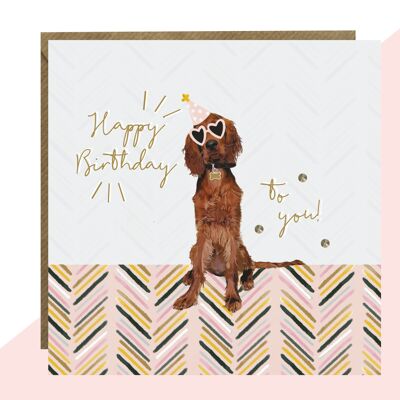 Irish Red Setter Birthday Card