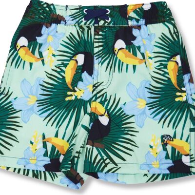 Boys trunks | toucans