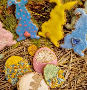Somebunny vous aime - Ensemble de biscuits de Pâques 4