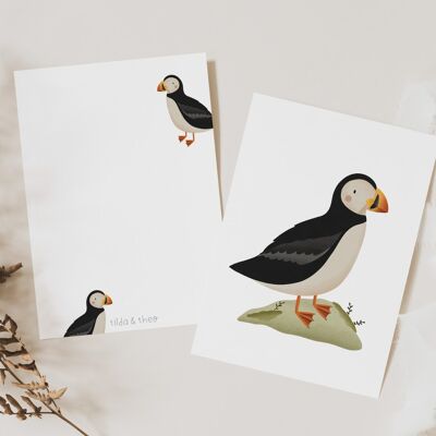 Postkarte Puffin/Papageientaucher - Island