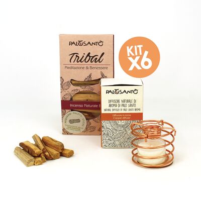 Kit de sublimation Palo Santo - 6 diffuseurs d'arômes Palo Santo + 6 packs Palo Santo 'Pequeño' 8 piquets