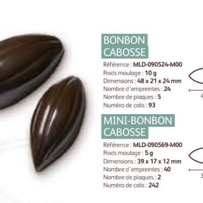 CACAO BARRY - MOLD_PACKAGE N°93_CABOSSE (24 Vertiefungen pro Tablett)