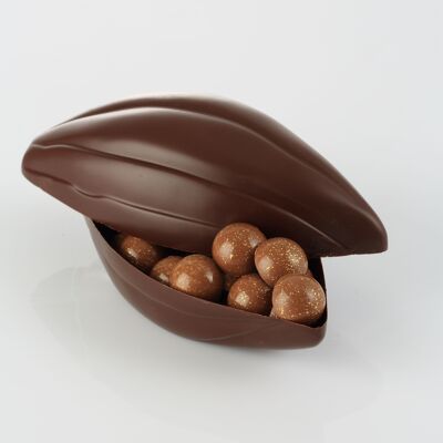 CACAO BARRY - MOULD_PACKAGE N°88_DUO DE CABOSSE