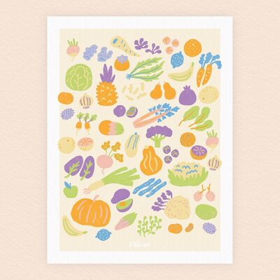 Seasonal fruits and vegetables poster - Winter