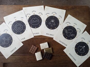 CHOCOLAT NOËL -NOIR- 15 chocolats signes astrologiques 9