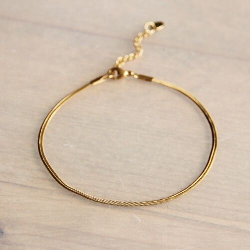 Stainless steel anklet flat snake - gold - AN909