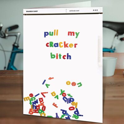 Xmas Pull My Cracker Bitch Funny Christmas Card