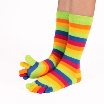TOETOE® Essential Everyday Unisex Mid-Calf Stripy Cotton Toe Socks - Green