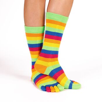 Buy wholesale TOETOE® Essential Everyday Unisex Mid-Calf Stripy Cotton Toe  Socks - Green