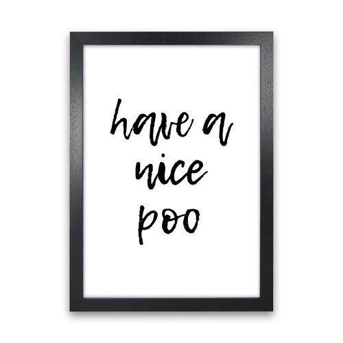 Have A Nice Poo, Bathroom Modern Print, Framed Bathroom Wall Art