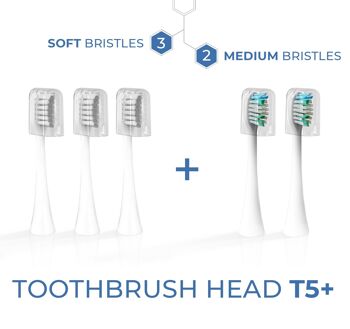 T5+ | Brosse à dents électrique sonique (40 PCS) 3