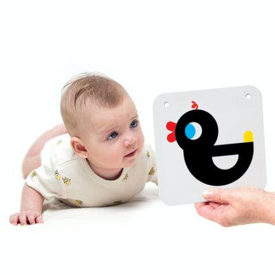 Carte flash bébé avec contraste élevé, jouet bébé pour 0 3 6 12 mois, carte  bébé noir et blanc Jeux éducatifs Apprendre les couleurs