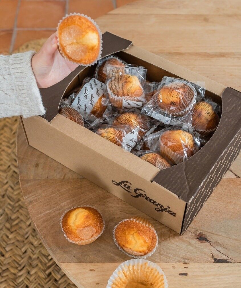 Original Riesen-Cupcakes