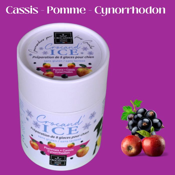 Hundeeis Apfel-Schwarze Johannisbeere