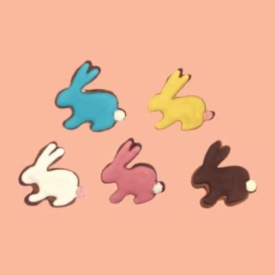 Raving Rabbids (BULK)
