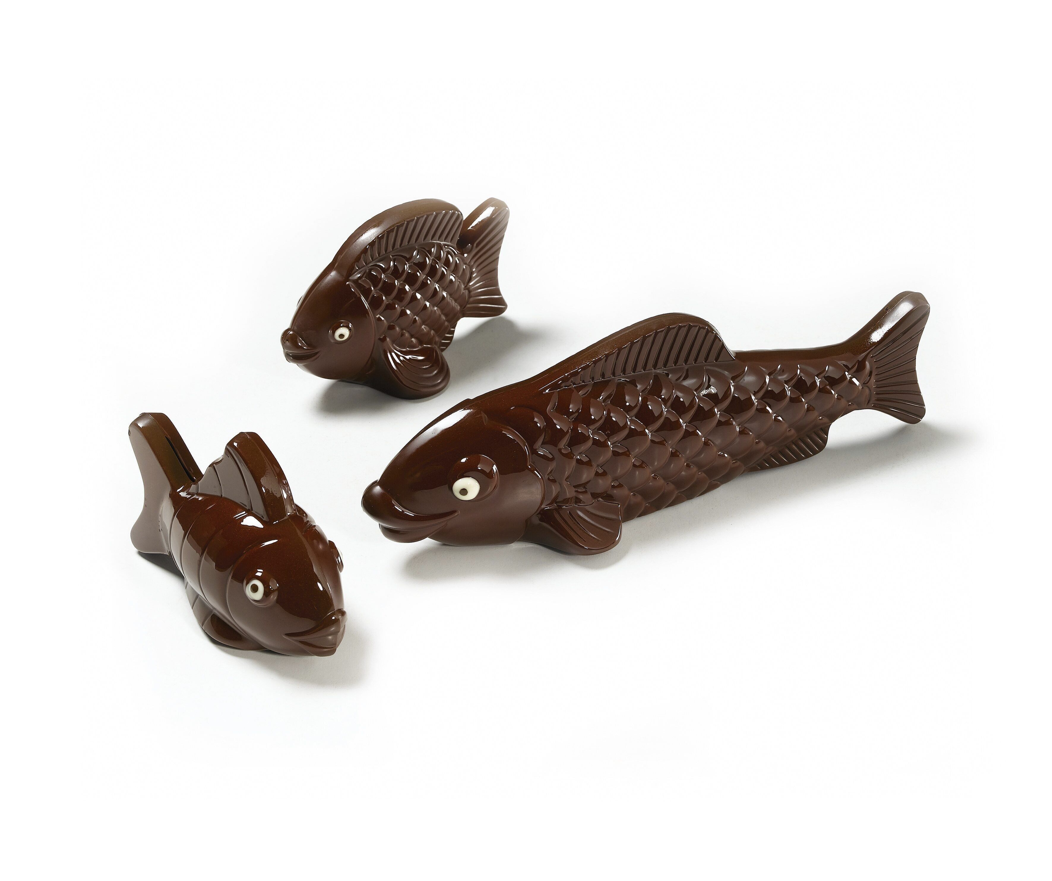 CACAO BARRY - MOLDE_PAQUETE N°25_SURTIDOS DE PESCADO