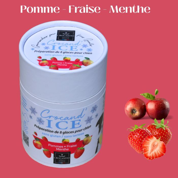 Apfel-Erdbeer-Hundeeis
