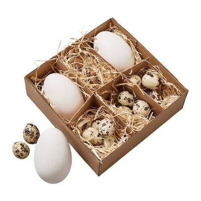 Pasqua - Set di 15 uova di Pasqua decorative
