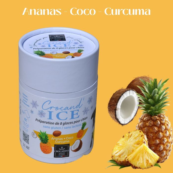 Hundeeis - Ananas-Kokosnuss