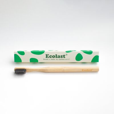 Brosse à dents Ecolast - 20 pièces