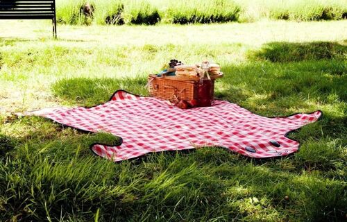 Bear Skin Picnic Blanket