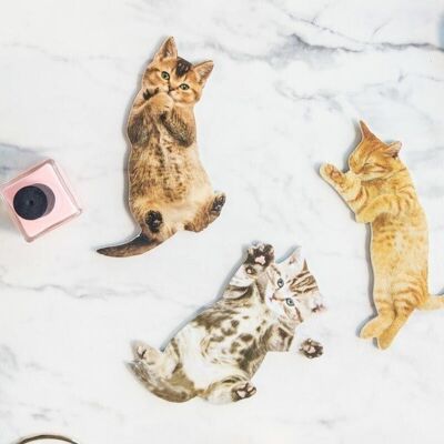 Cat Nail Files ( Random Pick)