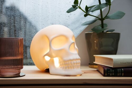 Skull light