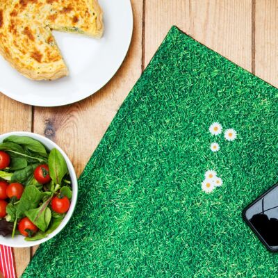 Indoor Picnic Blanket