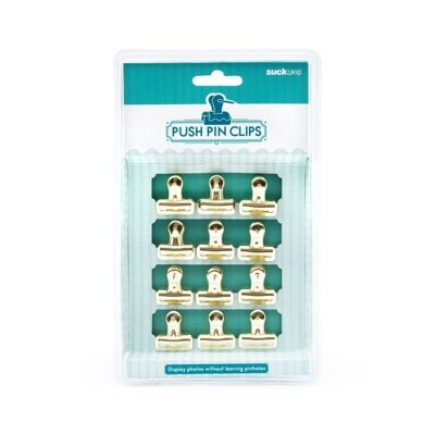 12 PINCES OR PUSH PIN CLIPS