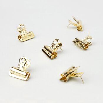 12 PINCES OR PUSH PIN CLIPS 2