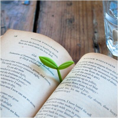 Sprout Bookmark