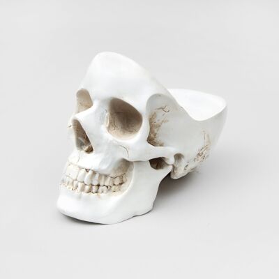 White Skull Tidy