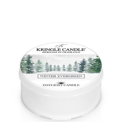 Scented candle Winter Evergreen Daylight