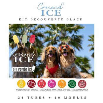 KIT DECOUVERTE CROCAND'ICE 1