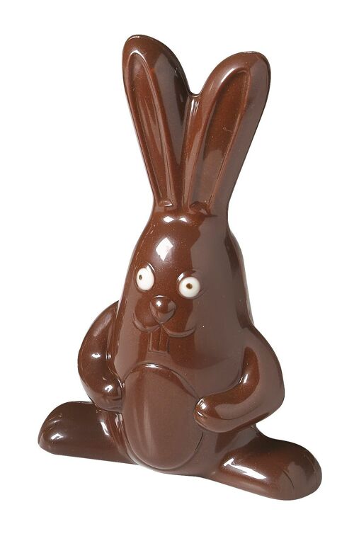 CACAO BARRY - MOULE_COLIS N°221_GRAND LAPIN 19 CM