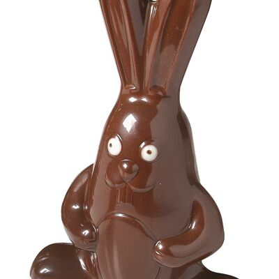 CACAO BARRY - MOULE_COLIS N°221_GRAND LAPIN 19 CM