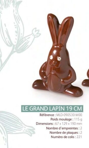 CACAO BARRY - MOULE_COLIS N°221_GRAND LAPIN 19 CM 2