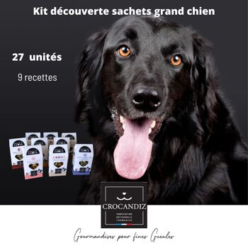 KIT Découverte Sachets grand chien 1