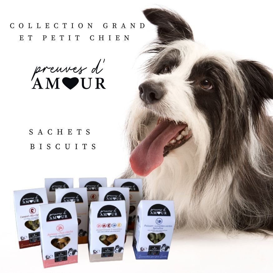 Discovery KIT Große Hundetaschen