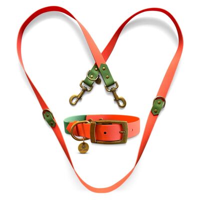 Ensemble Biothane - Collier et Laisse pour Chien - Orange/Vert