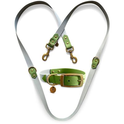 Ensemble Biothane - Collier et Laisse pour Chien - Gris/Vert