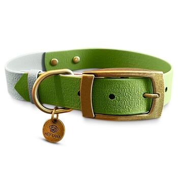 Ensemble Biothane - Collier et Laisse pour Chien - Gris/Vert 2