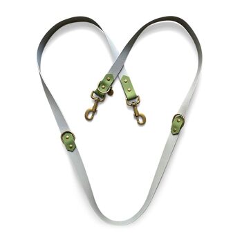 Ensemble Biothane - Collier et Laisse pour Chien - Gris/Vert 4