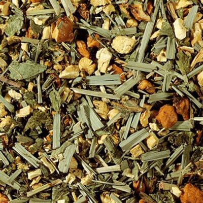 Single-serving sachets of fresh mint flavored herbal tea 50x2gr