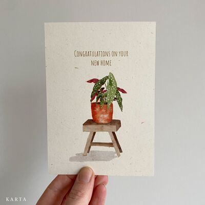 Grußkarte - eine Pflanze namens dotty